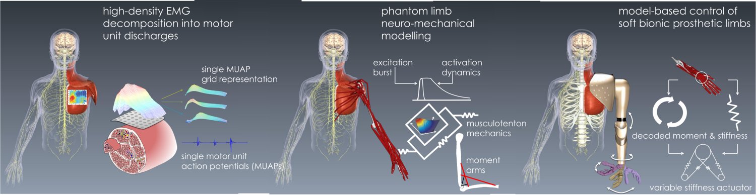 人體運動的多尺度神經(jīng)力學建模