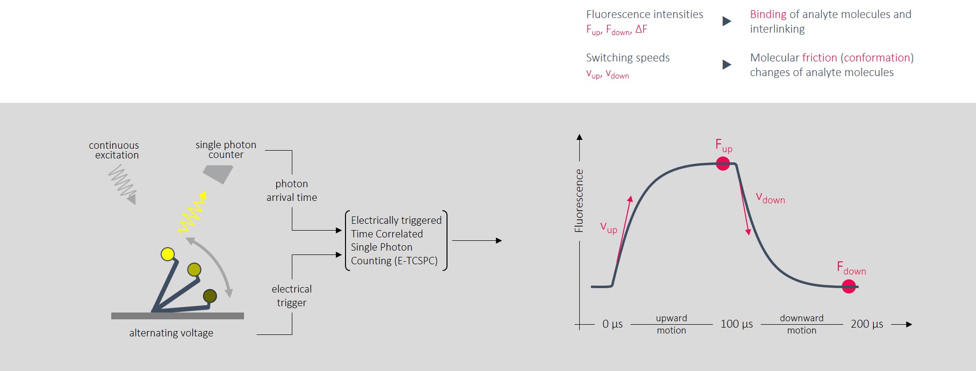nanolever-switching-dynamics-measurement.jpg