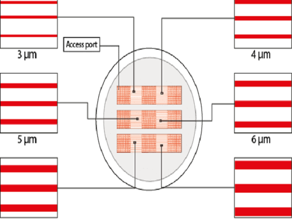 動態(tài)微圖案培養(yǎng)皿