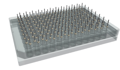 PerFuseIt �c�κ���