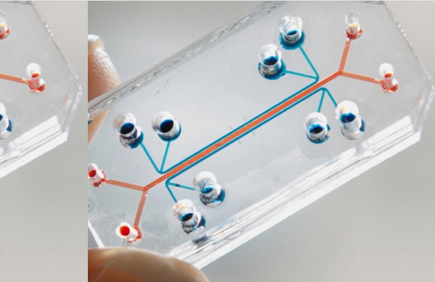 1671886386795056390.png QQ截圖20221224205656.png