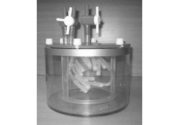 �ڠ������Ӱ