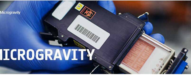 微重力細(xì)胞/植物孵育裝置