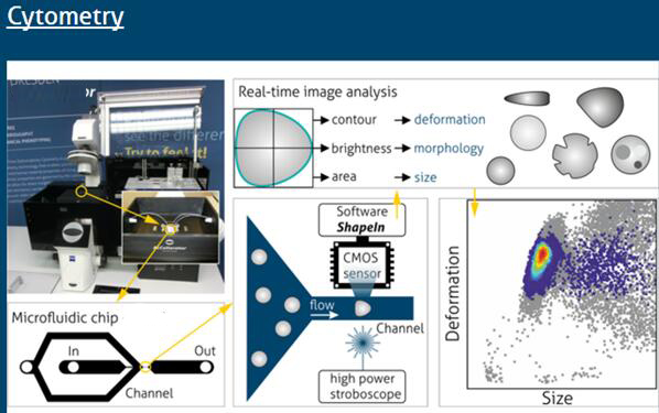 流式單細(xì)胞力學(xué)特性測(cè)試分析系統(tǒng)