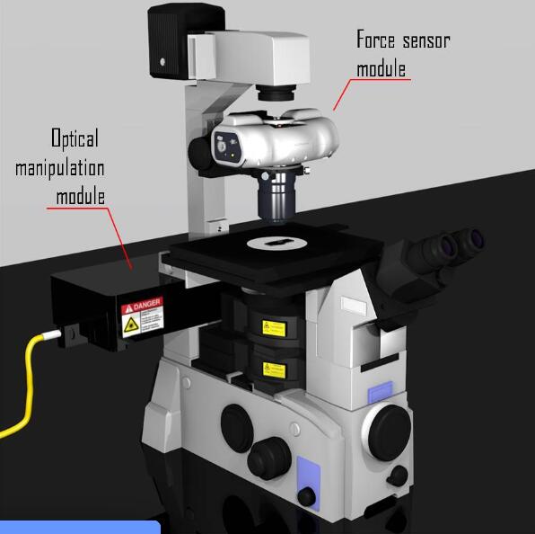 活細胞和組織細胞力學光鑷系統(tǒng)，專為細胞內(nèi)微流變學、細胞核機械轉導、細胞膜機械感受器力、運動蛋白活性或細胞細胞相互作用等應用而設計