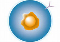 1519375726249781.jpeg dagj.jpg