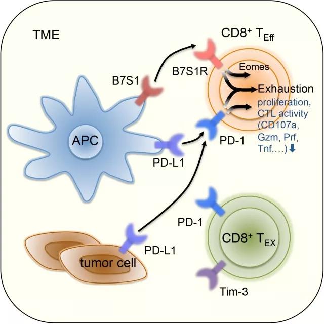 1522916021163958.jpeg 微信圖片_20180405161155.jpg