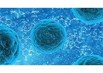 1535343649627454.jpeg stem-cell-163711__340.jpg