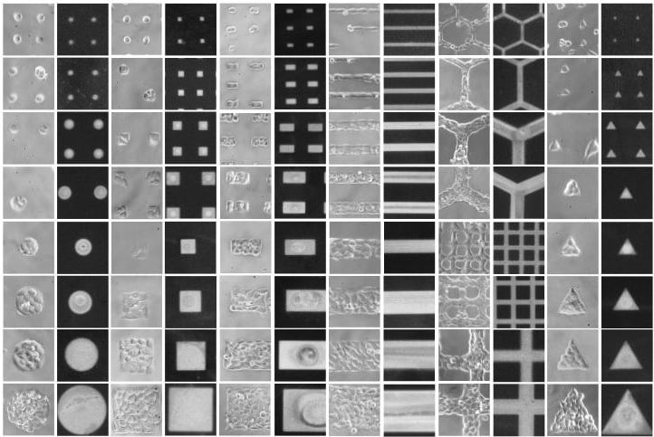 ΢�D�� 96 �װ�D