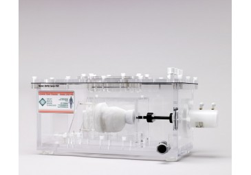 MRI 兼容的多模態(tài)心臟運(yùn)動(dòng)模型