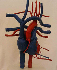 型號(hào)：TSN-020-L