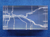 型號(hào)：ARN-001